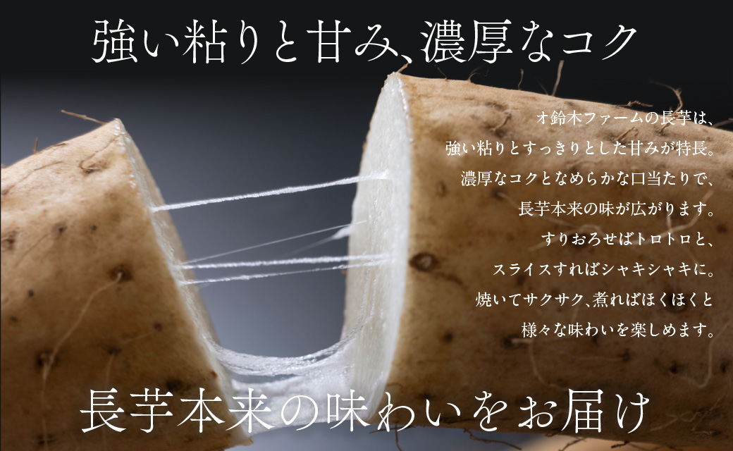 長芋 10kg ABBX003