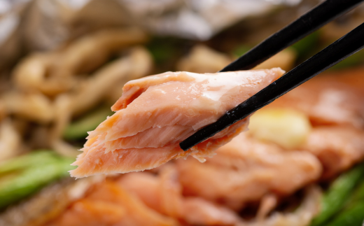 新巻鮭 5切真空パック ABE084