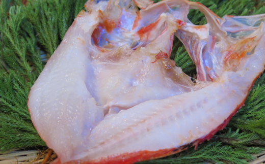 高級ブランド釣きんき一夜干【Lサイズ】 2尾（2025年5月15日より順次発送） ABJ015