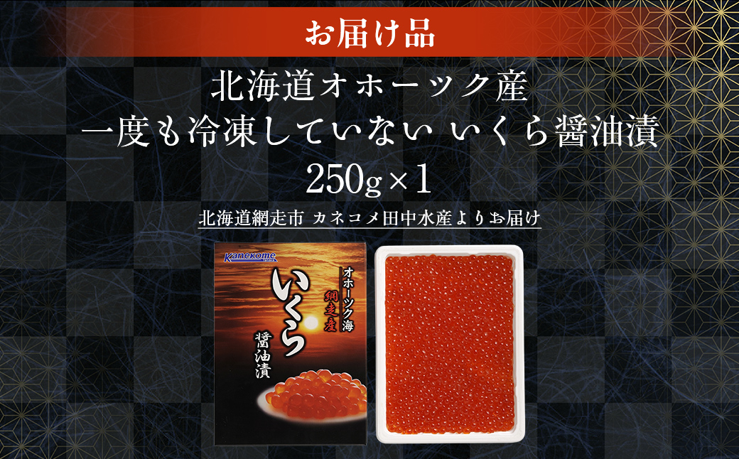 【2025年産新物先行予約】北海道産 一度も冷凍していない いくら醤油漬 250g×1（令和7年10月より順次発送） ABR024