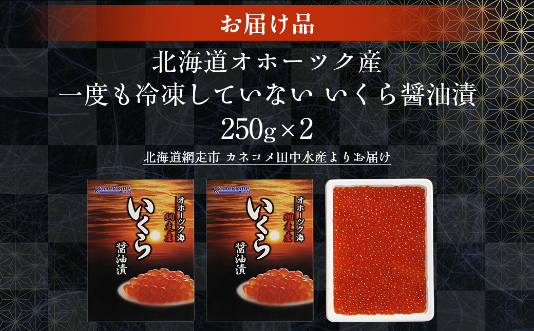 【2025年産新物先行予約】北海道産 一度も冷凍していない いくら醤油漬 250g×2（令和7年10月より順次発送） ABR025