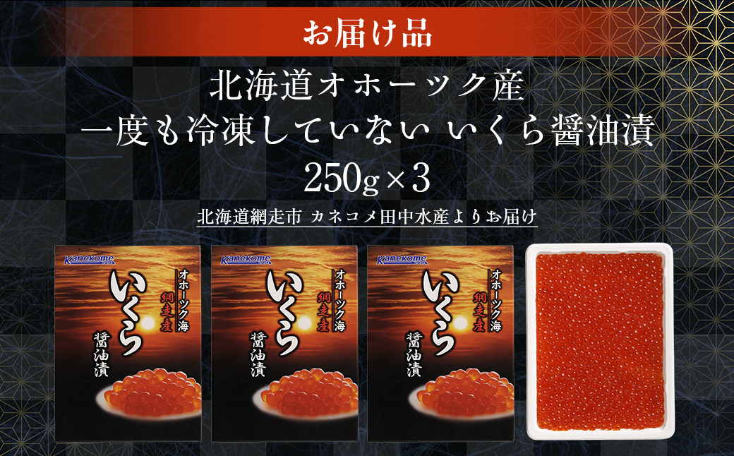 【2025年産新物先行予約】北海道産 一度も冷凍していない いくら醤油漬 250g×3（令和7年10月より順次発送） ABR026