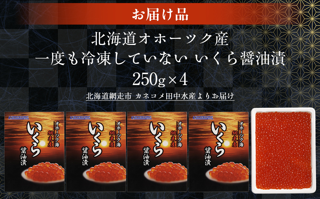 【2025年産新物先行予約】北海道産 一度も冷凍していない いくら醤油漬 250g×4（令和7年10月より順次発送） ABR027