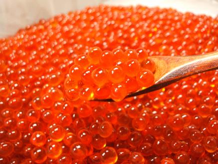 網走から直送！＜網走産＞いくら醤油漬 400g ABB009