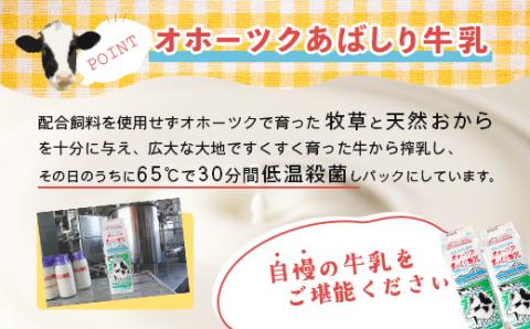 ＜網走産＞オホーツクあばしり牛乳【1000ml×6本】 ABAJ001
