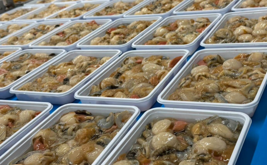 【先行予約】冷凍生剥きほたて 2kg（500g×4）（2026年3月より順次発送） ABAE010