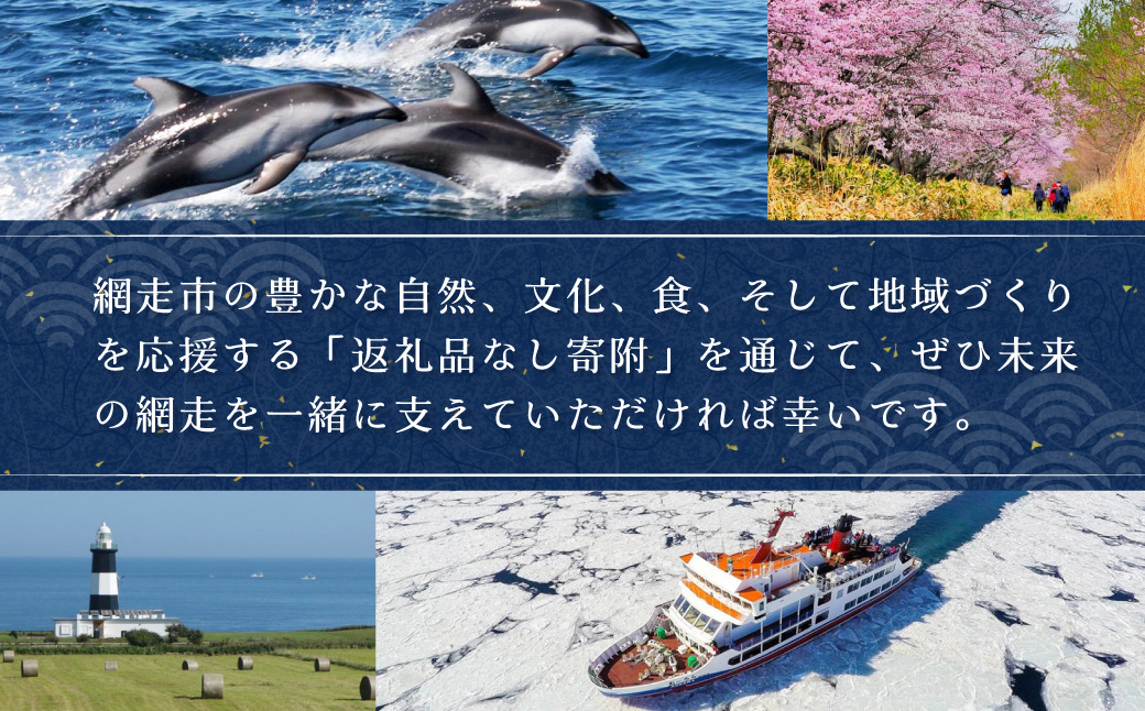 【返礼品なし】北海道網走市・応援寄附1,000円（寄附のみの応援受付 ※返礼品はございません） ABBT001