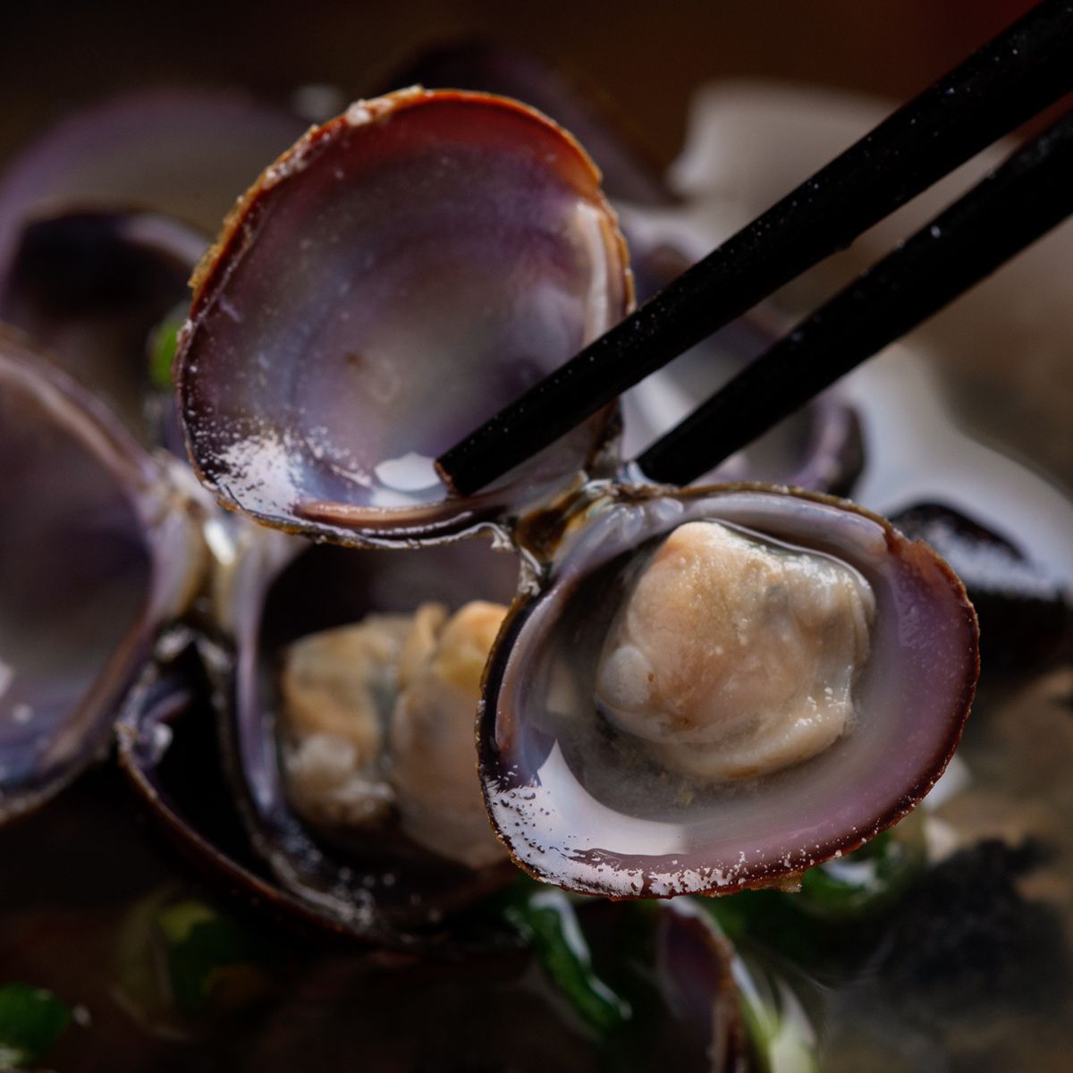 朝食セット 天然新巻鮭切り身 5切と網走湖のしじみ貝 1kg ABE113