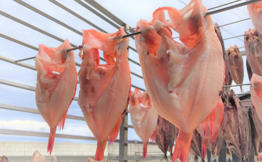 高級ブランド釣きんき一夜干【Lサイズ】 2尾（2025年5月15日より順次発送） ABJ015