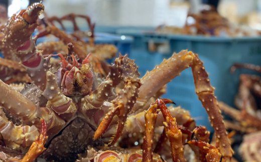 【極生食感】イバラガニ トロ刺し《200g×2p》約4～5人前（2025年4月15日より順次発送） ABJ020