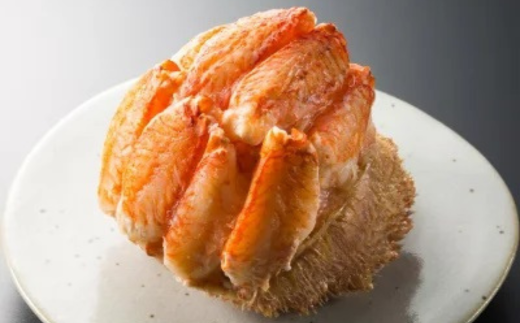 【先行予約】ケダマ × Sサイズ2尾入【2026年5月15日以降順次発送予定】 ABJ022