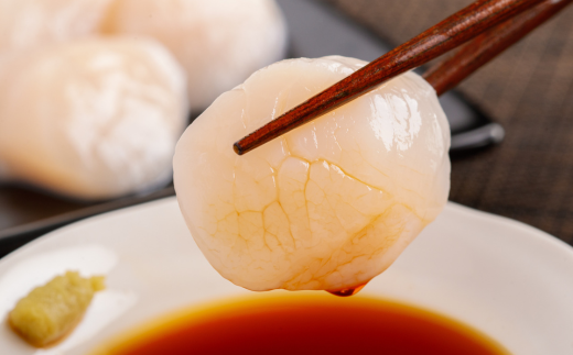 北海道オホーツク産 冷凍帆立貝柱 21玉～25玉 500g×2【 ふるさと納税 人気 おすすめ ランキング ホタテ ほたて 帆立 貝柱 ホタテ貝柱 ほたて貝柱 帆立貝柱 刺身 ホタテ刺身 刺身ホタテ ほたて刺身 刺身ほたて 帆立刺身 魚介 魚介類 海鮮 小分け 天然 オホーツク 北海道 網走市 送料無料 】 ABR005