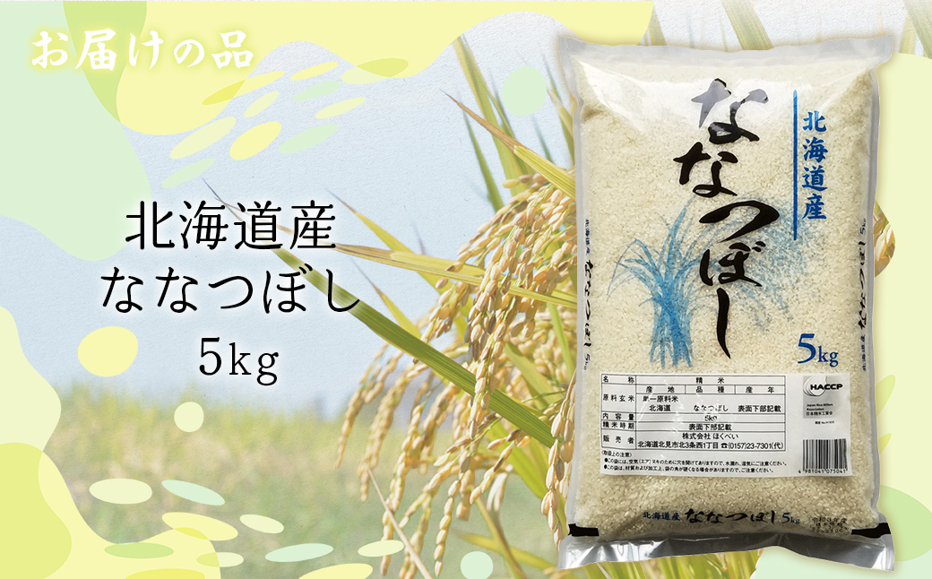 【令和7年産】北海道産ななつぼし 5kg  ABT006