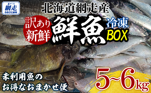 【先行受付】【訳あり】網走産冷凍鮮魚BOX～未利用魚の有効活用（漁業生産者応援企画）～（2026年2月より順次発送） ABAE011