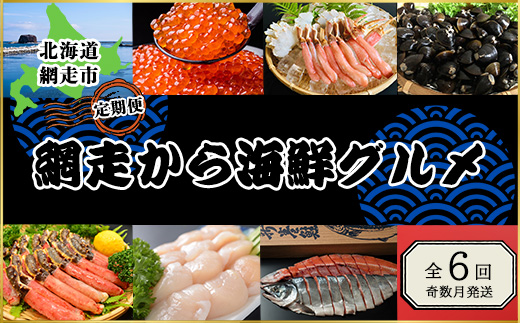 【定期便】<奇数月に発送>網走から海鮮グルメ　ほたて、いくら、ズワイガニ等 全6回 ABAO076