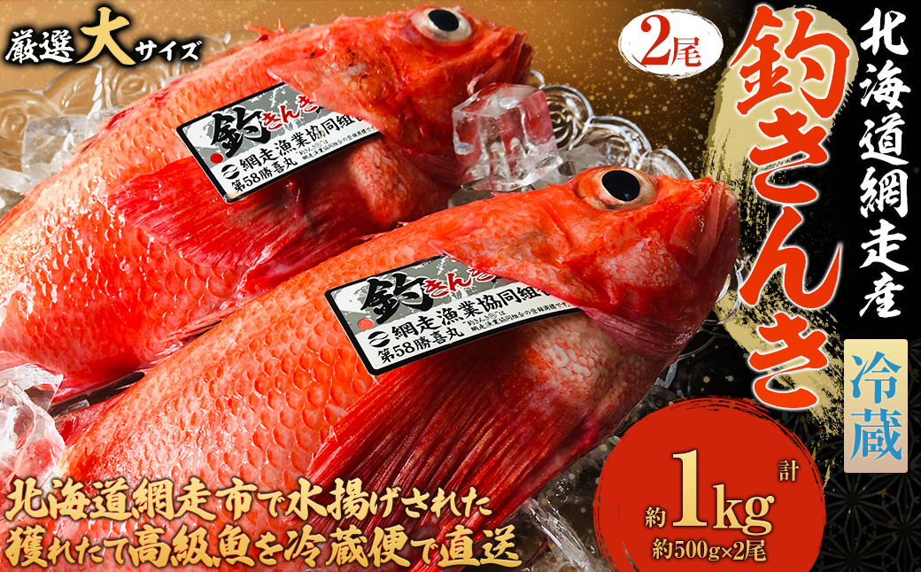 【先行予約】【冷蔵届け】網走産釣りキンキ【2尾で約1kg】（2026年4月中旬頃～11月下旬頃発送） ABAO116