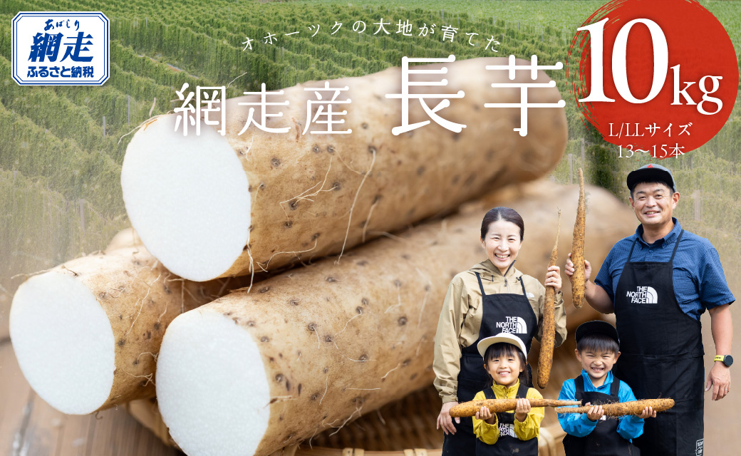 長芋 10kg ABBX003