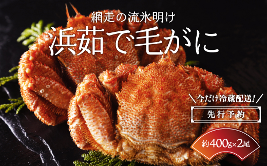 【先行予約】今だけ冷蔵配送！網走の流氷明け浜茹で毛ガニ（2024年4月中旬から順次発送予定） ABC021
