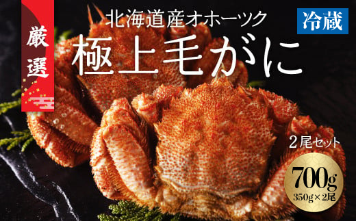 【先行予約】今だけ冷蔵配送！オホーツク網走の流氷明け浜ゆで毛ガニ2尾(1尾約350g)（2025年4月中旬から順次発送予定） ABC031