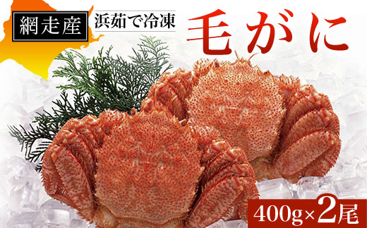 網走産 浜茹で冷凍毛がに400g×2尾 ABD001