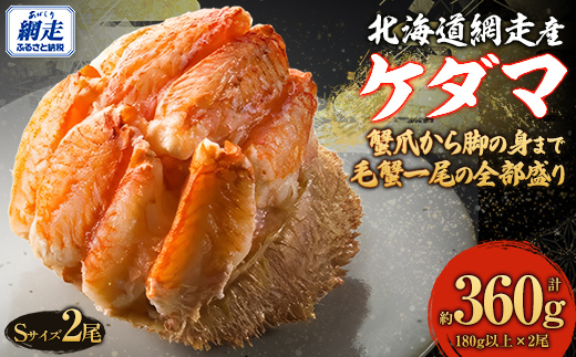 【先行予約】ケダマ × Sサイズ2尾入【2026年5月15日以降順次発送予定】 ABJ022