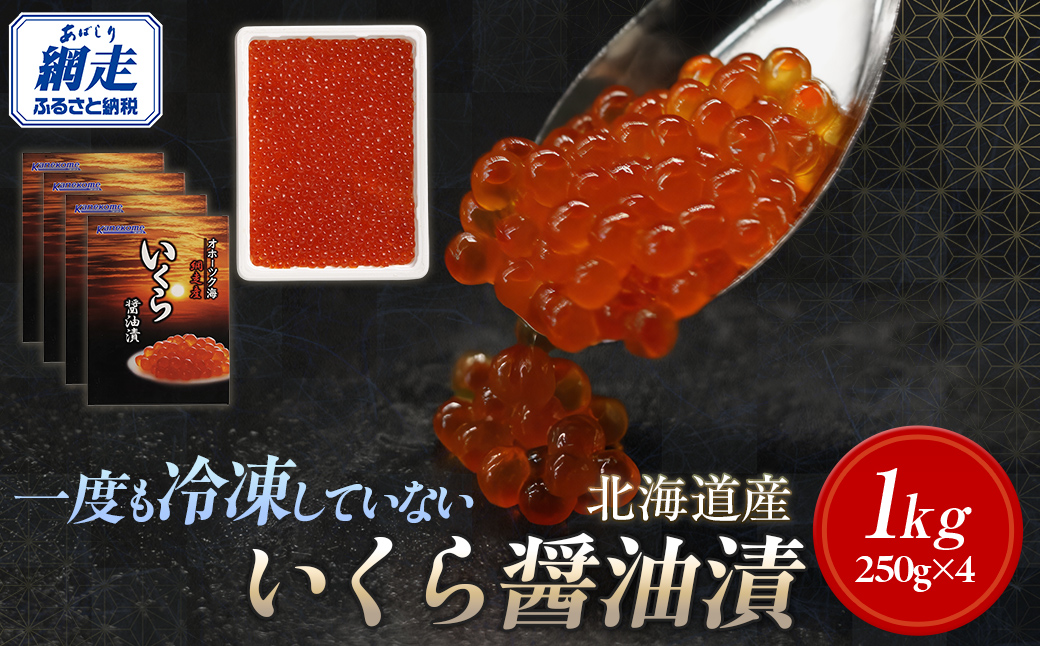 【2025年産新物先行予約】北海道産 一度も冷凍していない いくら醤油漬 250g×4（令和7年10月より順次発送） ABR027