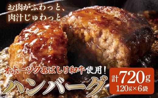 ＜網走産＞【オホーツクあばしり和牛】ハンバーグ・総重量 720ｇ(120ｇ×6個）  ABW001