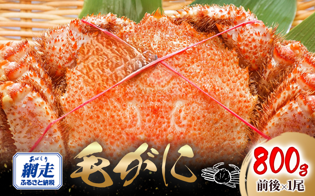 網走産 毛がに800g前後×1尾 ABW108