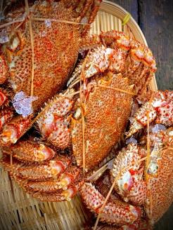 【数量限定】＜北海道産＞浜茹で毛がに【約500g×3尾】（網走加工） ABC017