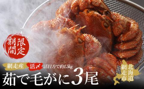 【先行予約 期間限定】＜網走産＞流氷海明け活〆茹で毛がに 3尾セット【2026年4月上旬発送開始予定】 ABAO1058