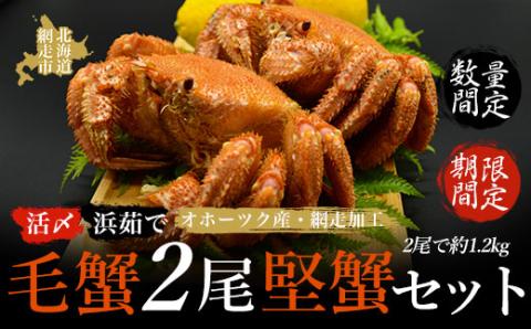 【期間限定・数量限定】美味活〆浜茹で毛蟹2尾「堅蟹」セット（オホーツク海産・網走加工） ABAO2160