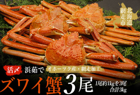 活〆茹でズワイ蟹3尾で約3kgセット（オホーツク海産・網走加工）  ABAO2158