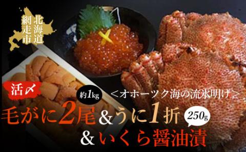 うに 北海道 海産物 ＜オホーツク海の流氷明け＞活〆毛がに2尾（合計約1kg）＆いくら醤油漬（250g）＆うに（1折）セット（網走加工） ABAO029