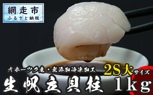 刺身用大粒帆立貝柱 1kg(500g×2パック)[網走加工][ ホタテ 大粒 貝柱 玉冷 網走 北海道 ] ABX004 | ホタテ ホタテ ホタテ ホタテ ホタテ ホタテ ホタテ ホタテ ホタテ ホタテ ホタテ ホタテ ホタテ ホタテ ホタテ ホタテ ホタテ ホタテ ホタテ ホタテ ホタテ ホタテ ホタテ ホタテ ホタテ ホタテ ホタテ ホタテ ホタテ ホタテ ホタテ ホタテ ホタテ ホタテ