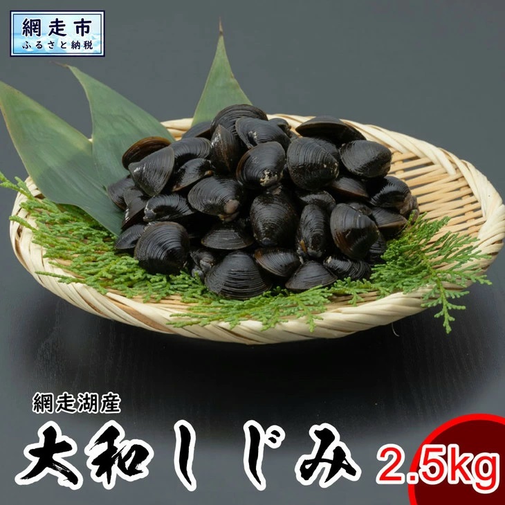 網走湖産 天然大粒 大和しじみ 2.5kg ABX033 | しじみ しじみ しじみ しじみ しじみ しじみ しじみ しじみ しじみ しじみ しじみ しじみ しじみ しじみ しじみ しじみ しじみ しじみ しじみ しじみ しじみ しじみ しじみ しじみ しじみ しじみ しじみ しじみ しじみ しじみ しじみ しじみ しじみ しじみ