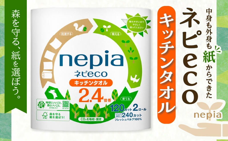 【A030】紙のまち苫小牧 ネピeco キッチンタオル 2ロール 24パック 紙包装　T001-007