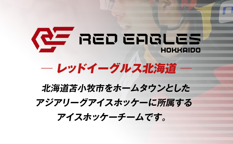 BIGユニフォームベア・ホーム　T018-010