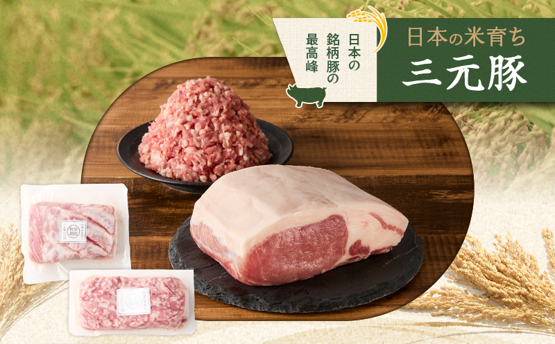 日本の米育ち平田牧場 三元豚ロースブロック（600g）・挽肉（300g）計900g　T036-009
