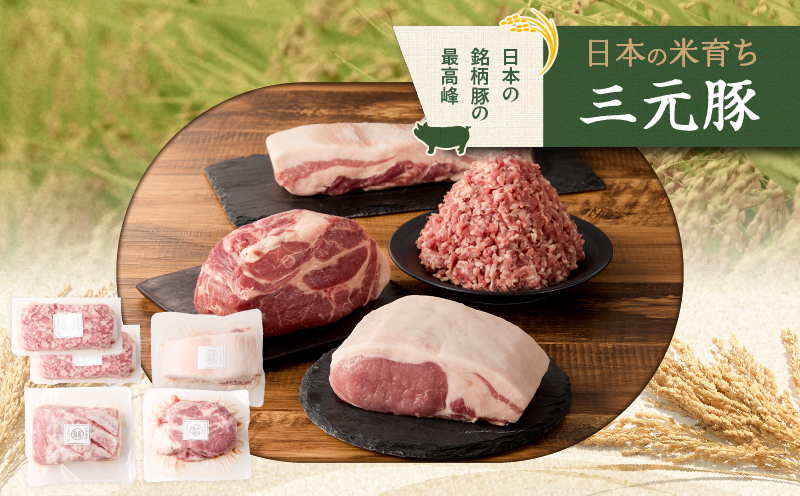 日本の米育ち平田牧場 三元豚ロースブロック・バラブロック・肩ロースブロック・挽肉　各600g（計2.4kg）　T036-011