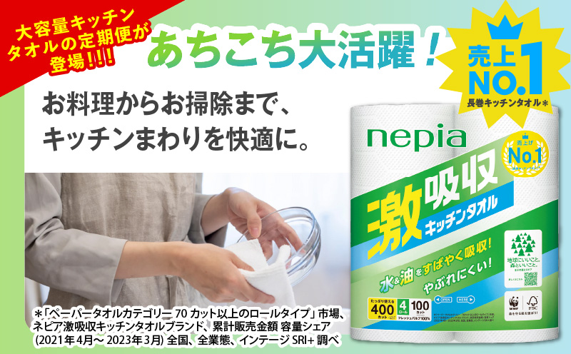 【全6回定期便】紙のまち苫小牧 王子ネピア 激吸収 キッチンタオル 100（48ロール×6回）　T001-T02