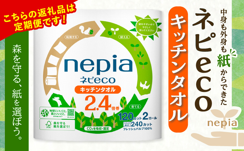 【全6回定期便】紙のまち苫小牧 ネピeco キッチンタオル 2.4倍巻 2ロール 24パック 紙包装（48ロール×6回）　T001-T10