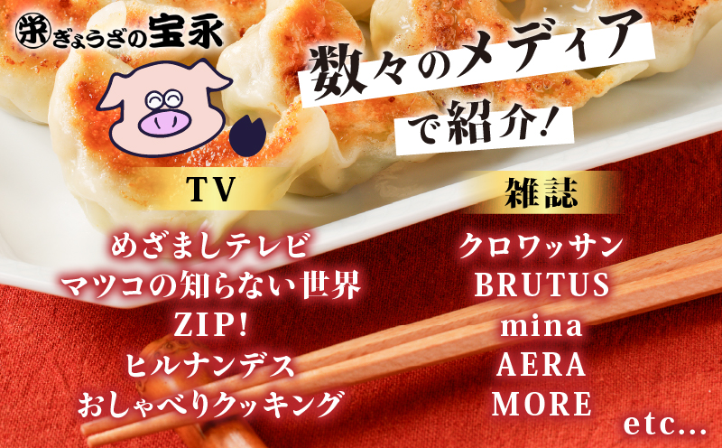 【全12回定期便（毎月）】宝永餃子10個入セット（宝永餃子10個入×4袋）合計1.0kg　T004-T03-05