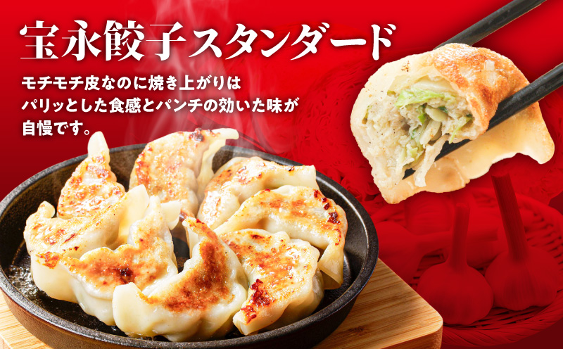 【全3回定期便（毎月）】ぎょうざの宝永 しそ餃子セット（宝永餃子 15個入×2袋＆しそ餃子 15個入×2袋）合計1.5kg　T004-T04-02