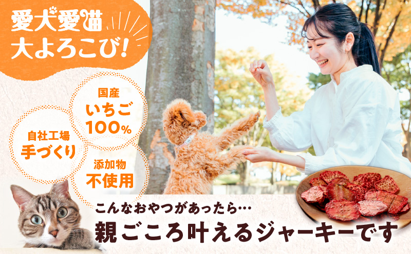 アスランエゾベニソン いちごジャーキー 10g×3袋入り 犬用おやつ 猫用おやつ 無添加 手作り　T012-019