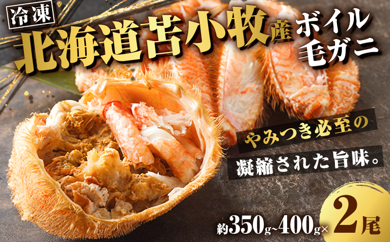 北海道苫小牧産冷凍ボイル毛ガニ（350g～400g 2尾入）　T020-008