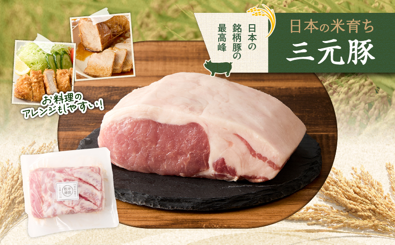 【平田牧場】三元豚ロースブロック 600g　T036-014