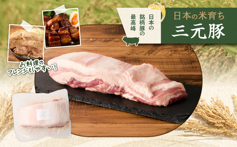 【平田牧場】三元豚バラブロック 600g　T036-015