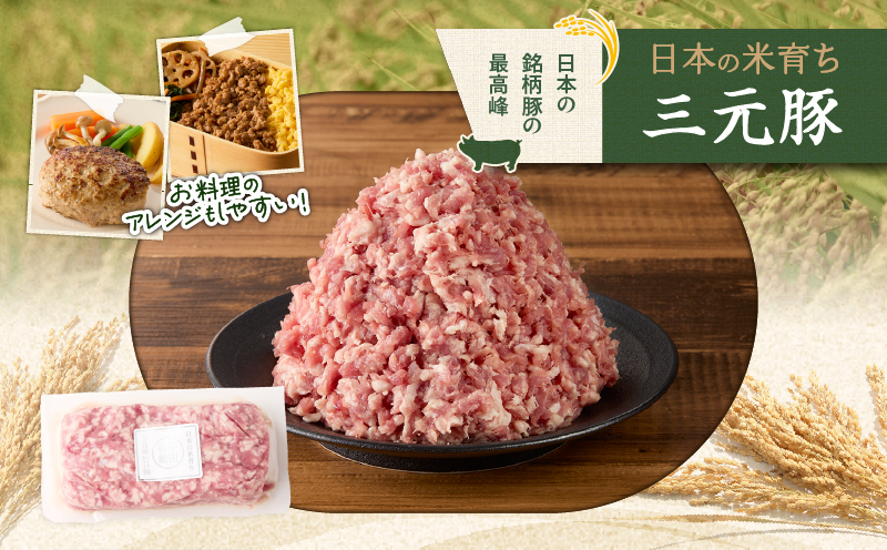 【平田牧場】三元豚ひき肉 600g　T036-017