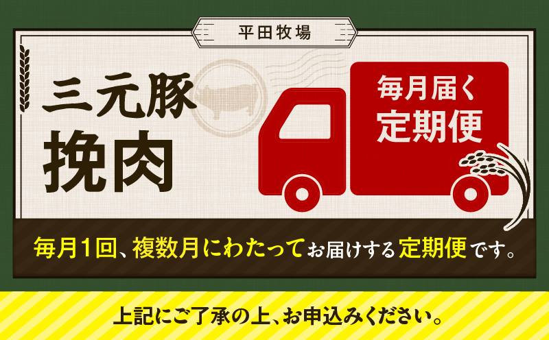 【全3回 毎月定期便】日本の米育ち平田牧場三元豚ひき肉 600g　T036-T12-01