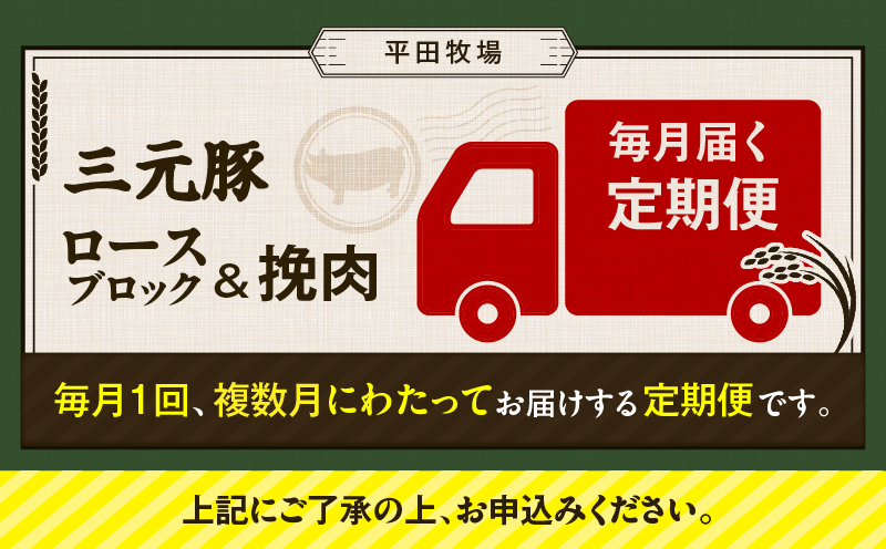 【全3回 毎月定期便】日本の米育ち平田牧場三元豚ロースブロック 600g・三元豚挽肉 300g　T036-T13-01